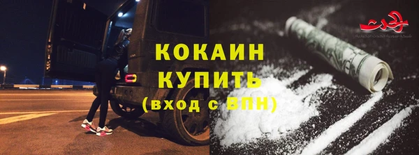 PSILOCYBIN Армянск