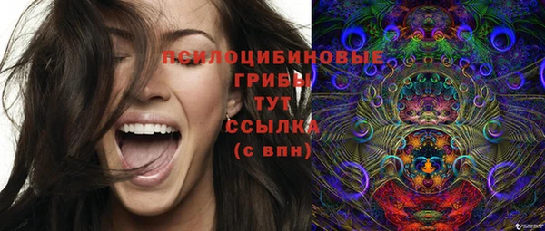 ешки Арсеньев