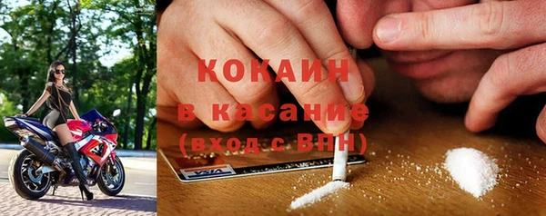 твердый Аркадак