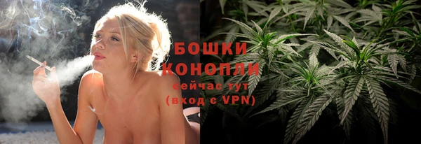 сатива Балабаново