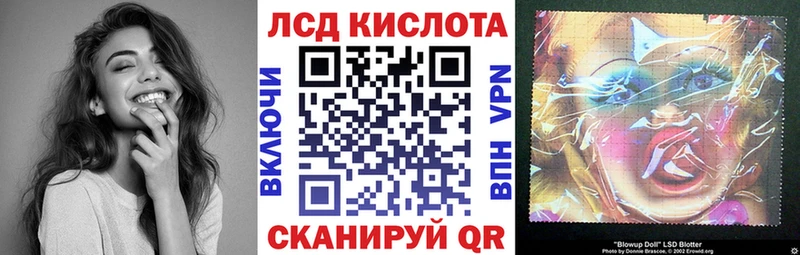 дарк нет какой сайт  цена наркотик  Курчалой  Марки N-bome 1,8мг 