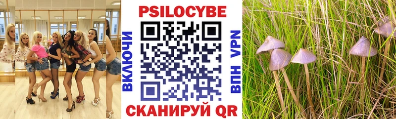 Псилоцибиновые грибы Psilocybine cubensis  продажа наркотиков  Курчалой 